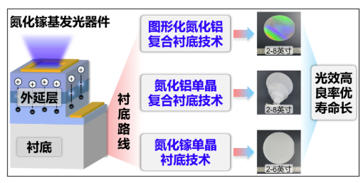 北京大学12项成果荣获2025年度国家科学技术奖8.png