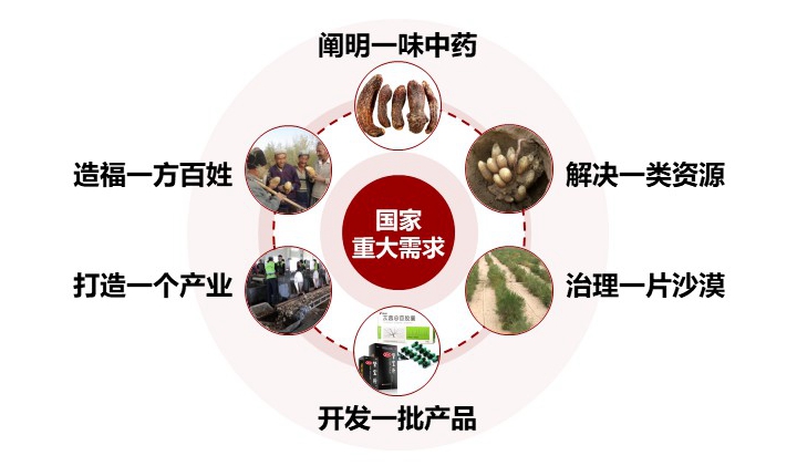 北京大学12项成果荣获2025年度国家科学技术奖9.jpg