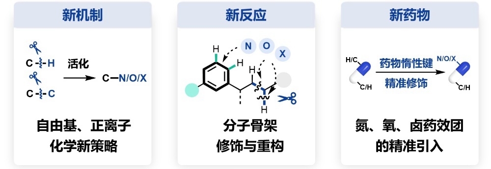 北京大学12项成果荣获2025年度国家科学技术奖3.jpg